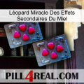 Léopard Miracle Des Effets Secondaires Du Miel 14